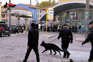 Ancona - Piano San Lazzaro, arrestato dai Carabinieri un ladro seriale
